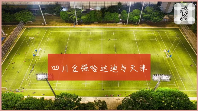 四川金强哈达迪与天津