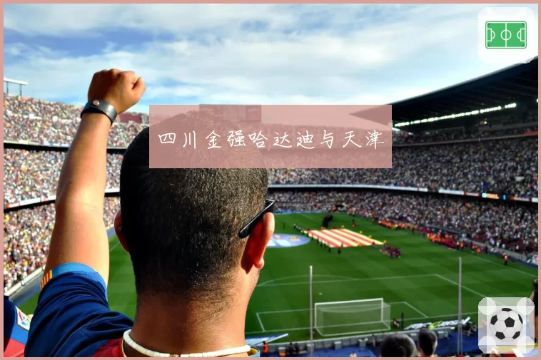 四川金强哈达迪与天津